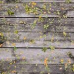 iPhone-15-Pro-Max-Gallery-Image-1