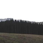 iPhone-15-Pro-Max-Gallery-Image-2